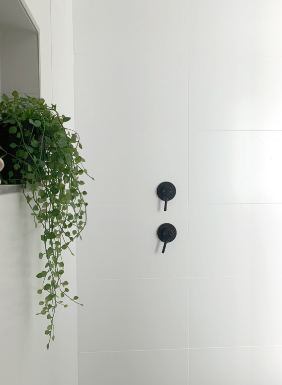 shower_plant_detail-copy